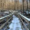 Bridge from Red Trail to Green/Beige Loop
