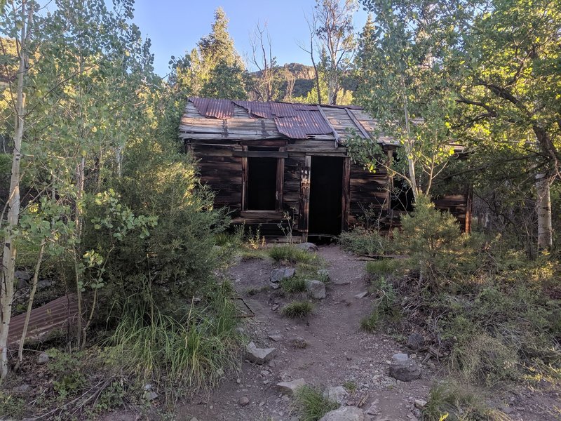Old miner's cabin along the trail to Bullion Falls