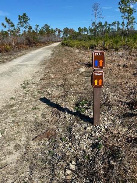 The trails here are marked by these blaze signs.  Sometimes you have to look on the back of the post to see what your trail does.