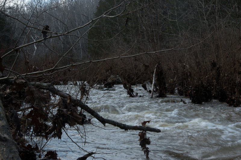Clifty Creek After Heavy Rainfall