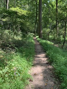 Jockey Hollow Trail Map Jockey Hollow Grand Loop Variant Hiking Trail, Mendham, New Jersey