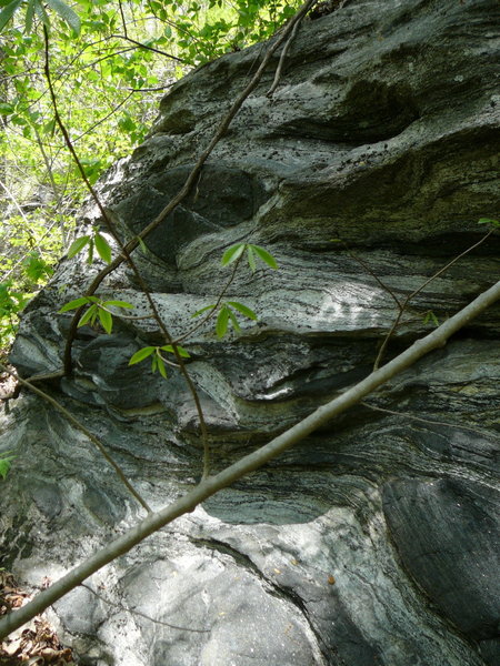 Check out the interesting geology of the Norman Wilder Cliffs!