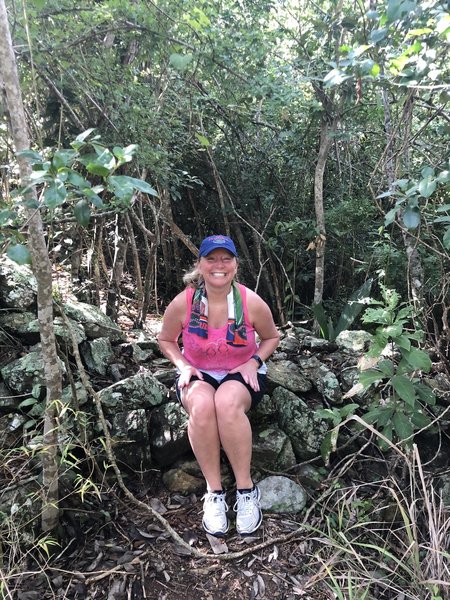 Highest point of Lameshur Bay Trail...a little resting / sitting place.  December 2019