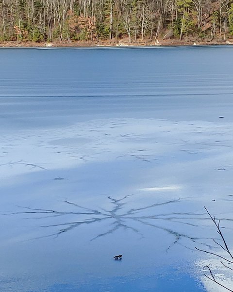 Fancy cracks in the ice.
