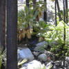 Among the Hellhole Palms