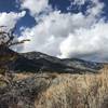 Beginning of Jobs Peak Trail. Beautiful views of Eastern Sierras. Rich variation of colors in brush. Taken in Fall.