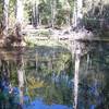 Naked Springs (Gilchrist County, FL)