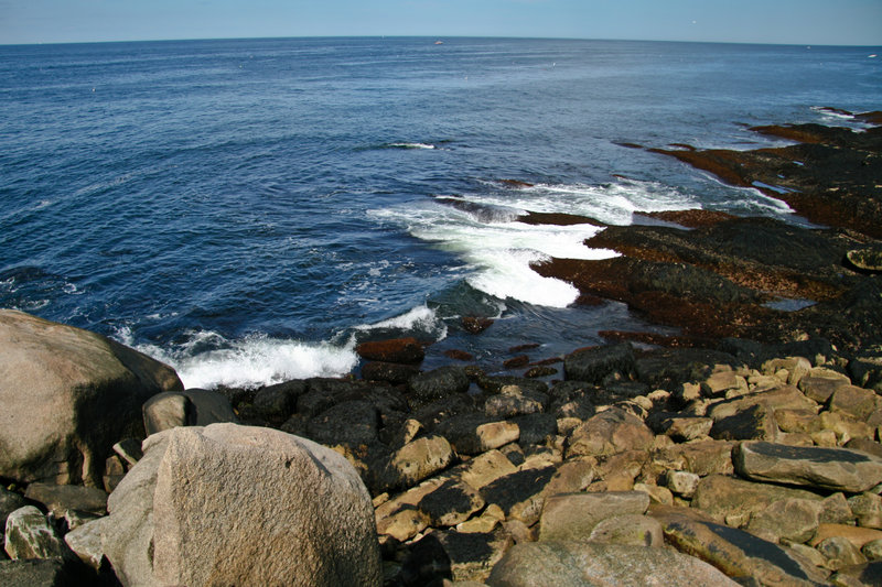 Looking over the rocky beach at Halibut Point.