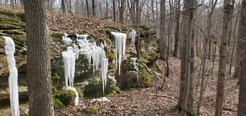 Icicles on rock outcropping.