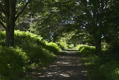 World S End Loop Hiking Trail Hingham Massachusetts