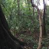 John Mahon Nature Park