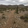 This portion of the trail can be a bit hidden so just look for this wooden post and run to it and you'll see the trail.