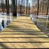 Section of the boardwalk at the east side observation tower