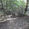 Meigs Creek Trail