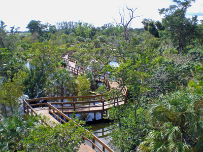 Hiking Trails Near Boca Raton - Botanical Gardens Near Boca Raton Florida