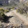 On the way up.