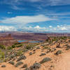 The East Rim Trail provides stunning views of the La Sal Mountains