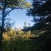 A beautiful look at the fall leaves that are just beginning to turn color.