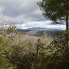View of Grandfather Mountain from Raider Camp Trail