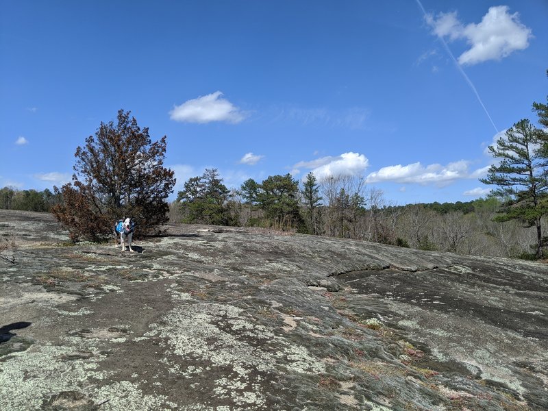 A view of the gentle slope of the granite dome.