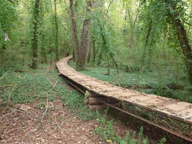 This 4' wide bridge spans about 150'.  This is the lowest point on the Victor Ashe trail.