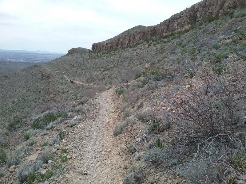 Looking west from the trail
