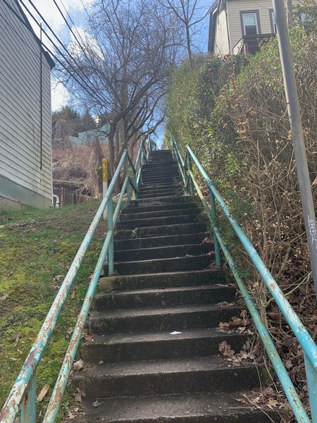Midway up the section of stairs on Eleanor St.