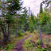 Hiking Trail from Three Mile to Daisy Farm - Isle Royale National Park