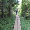 Plank boardwalk on the trail to Lookout Louise, Isle Royale National Park, Rock Harbor, Michigan.