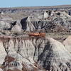 Petrified Logs in top of badlands