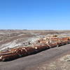 Line of petrified log across Crystal Forest trail