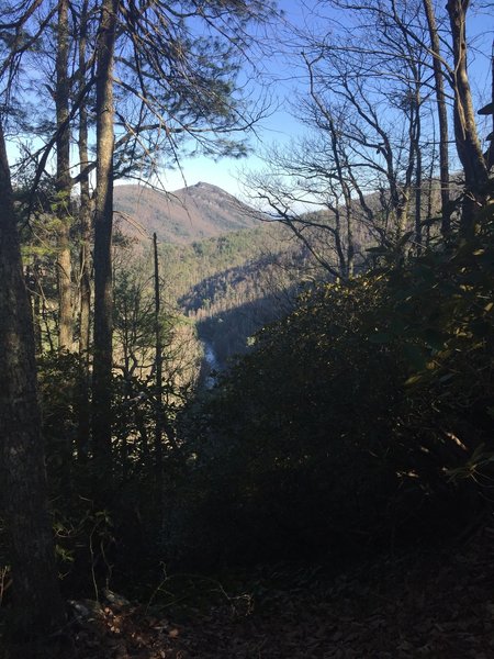 Hawksbill Mountain as seen from the Bynum Bluff Trail