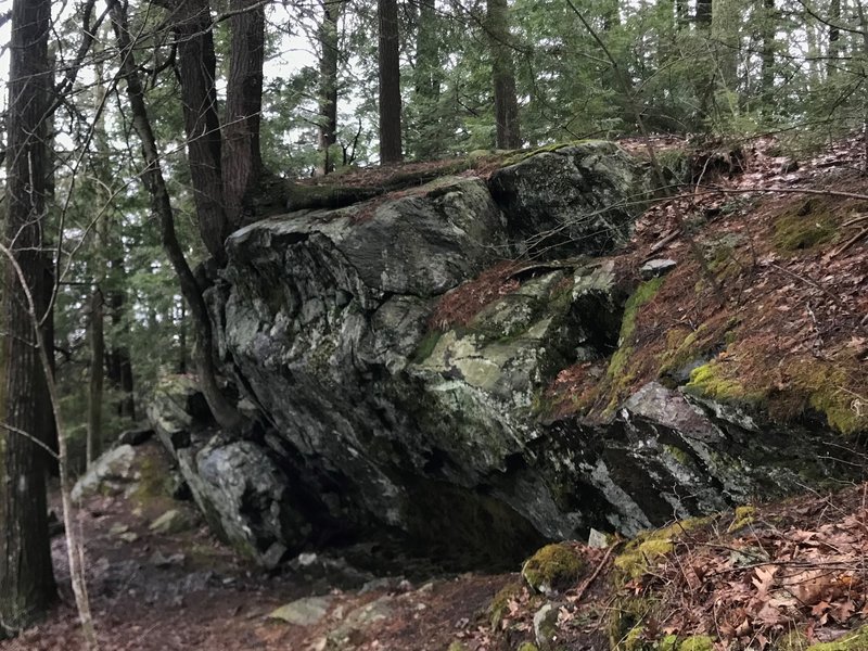Large rock outcrop along the Pond Loop Trail.