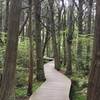 White Cedar Swamp Trail