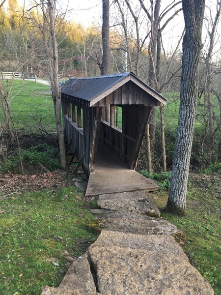 Bridge at Visitor's Center