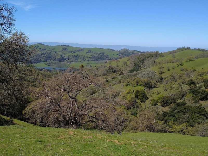 The hills of Joseph D. Grant County Park stretch on forever, with Grant Lake in the valley below on the left. Far in the distance are the blue Santa Cruz Mountains. Looking southwest from high on Halls Valley Trail.