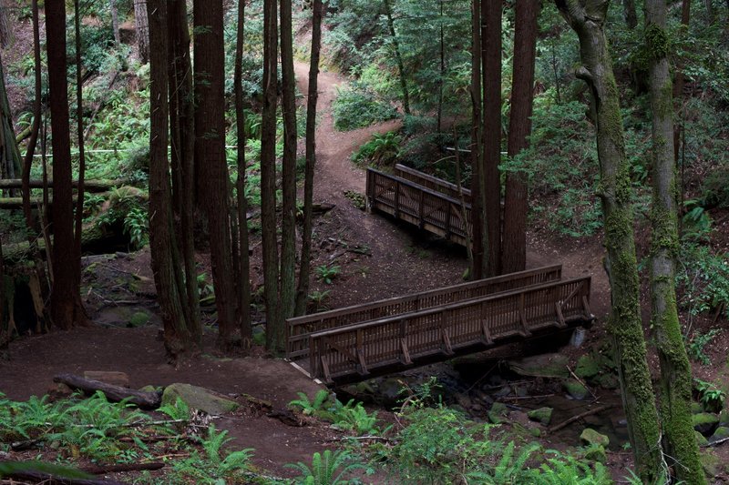 El Corte Madera Trail Map Bridges Cross The El Corte De Madera Creek On The Methuselah Trail. Its A  Nice Place