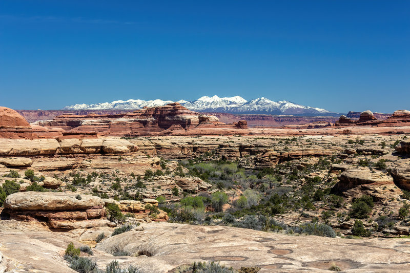 Snow covered La Sal Mountains with Squaw Canyon in the foreground