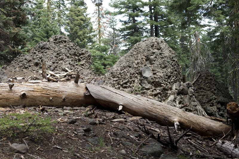 As you hike along the trail, evidence of the areas volcanic past can be seen along the trail.