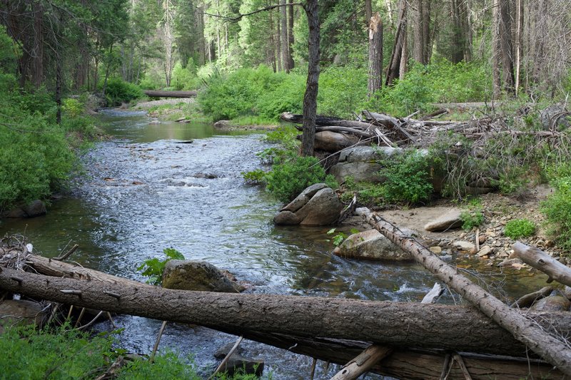 The South Fork of the Tuolumne River meanders alongside the trail.  Popular with fishermen, there are several good swimming holes along the trail that allow you to cool off.