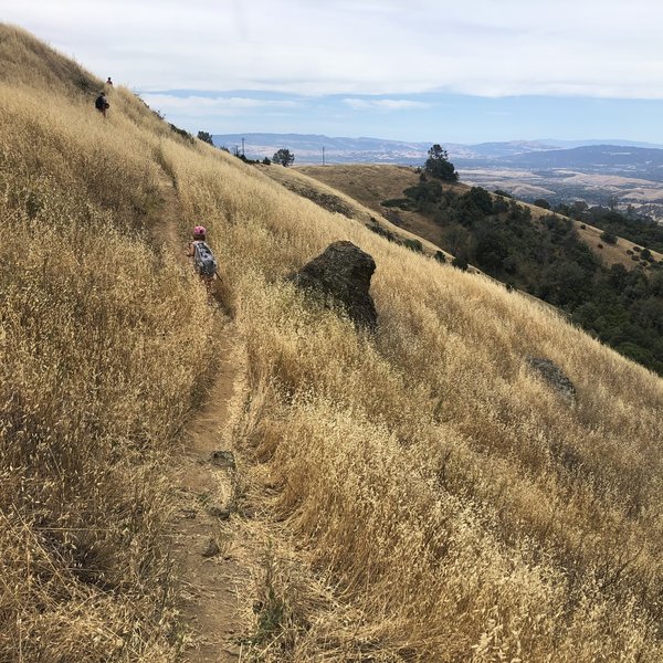 Great mile long trail that is perfect for kids. Long stretches of singletrack trail through tall grasses with a view over the valley, mixed with stretches of brush and a few short stretches of forest. Kids loved it!.