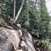 Collapsed trail along Lake Colden.