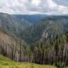 View from Deadwood Ridge as you descent through a burnt area to the North Fork of Middle Fork American River.