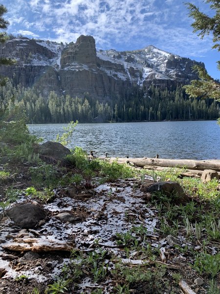 Morning at Round Lake after an overnight snow dusting in the middle of June 2020.