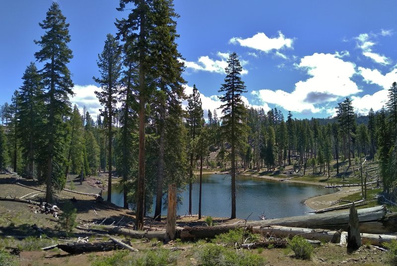 The first little lake is set in the pine forest below Bathtub Lake Trail.