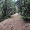 Zinker Canyon Trail T5660