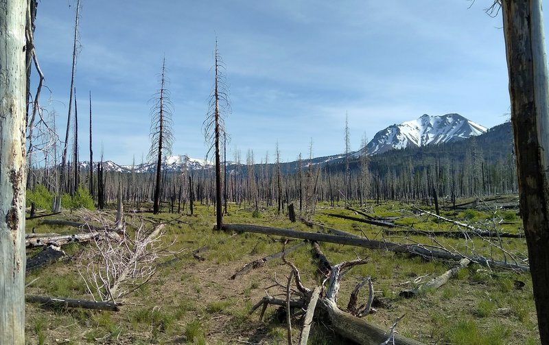 A good bit of Nobles Emigrant Trail (East) goes through the 2012 