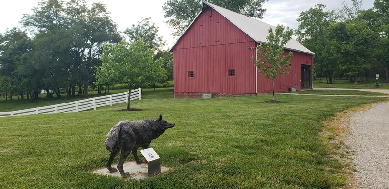 Coyote sculpture
