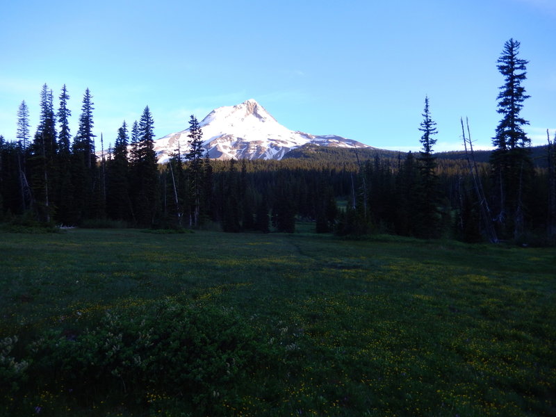 elk meadows hike mt hood