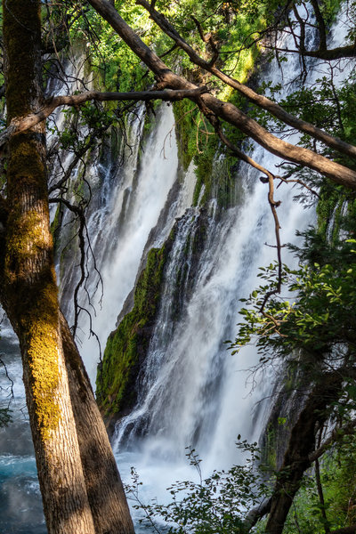 Burney Falls through the trees.
